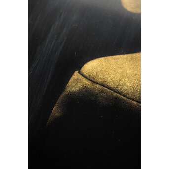 鳥毛清 漆工芸 沈金額【美人画】Q336 