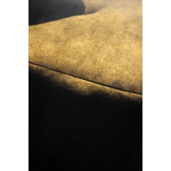 鳥毛清 漆工芸 沈金額【美人画】Q336 