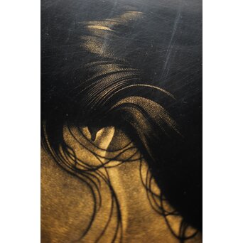 鳥毛清 漆工芸 沈金額【美人画】Q336 