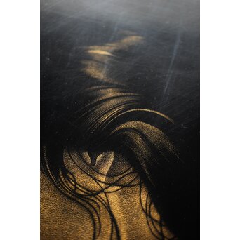 鳥毛清 漆工芸 沈金額【美人画】Q336 