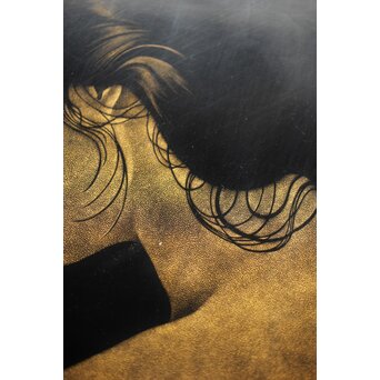 鳥毛清 漆工芸 沈金額【美人画】Q336 