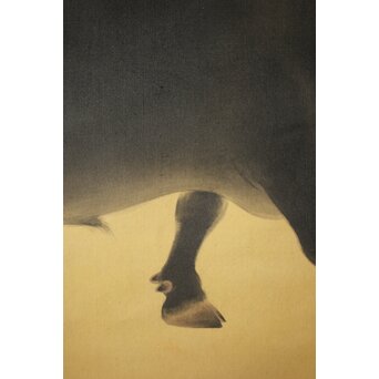 入江北宰【牡牛】絹本軸装 掛軸　Z432 