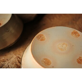 御本手 覆輪皿 五客　P414 