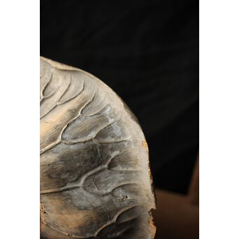 江戸初期元号 延宝 墨字 仏像木彫蓮台　X422 