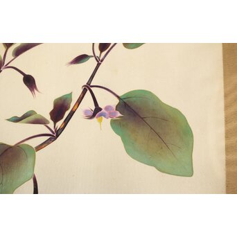 李朝 草虫図意 鶴一銘【茄子と蝶】絹本額装　Z441 