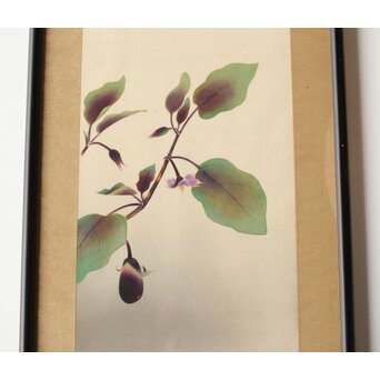 李朝 草虫図意 鶴一銘【茄子と蝶】絹本額装　Z441 