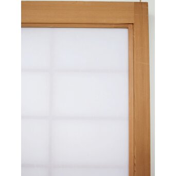 雲龍ワーロン障子 まいら扉ドア 2枚1組　F254 