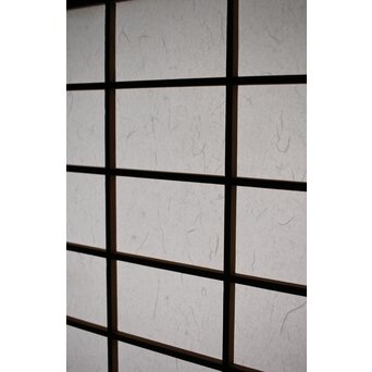 雲龍ワーロン障子 まいら扉ドア 2枚1組　F254 