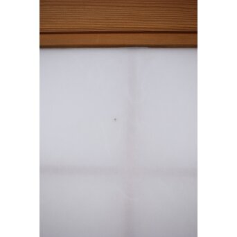 雲龍ワーロン障子 まいら扉ドア　F255 