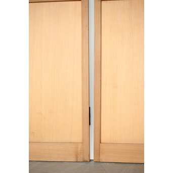 雲龍ワーロン障子 まいら扉ドア 2枚1組　F256 