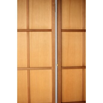 板扉 2枚1組　B1048 