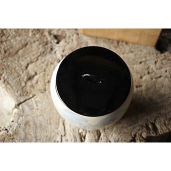 真葛香山 葡萄図 水指　P427 