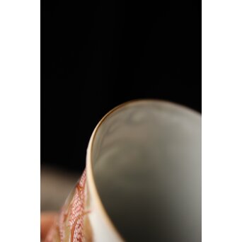 九谷赤絵名工 浅井一毫 雲龍ビール呑/盃　P429 