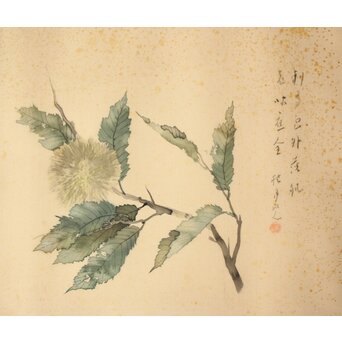 松林桂月「栗」日本画 額装　Z448