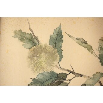 松林桂月「栗」日本画 額装　Z448 