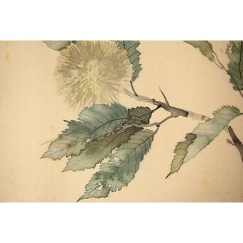 松林桂月「栗」日本画 額装　Z448 