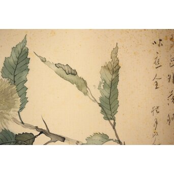 松林桂月「栗」日本画 額装　Z448 