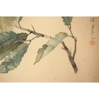 松林桂月「栗」日本画 額装　Z448 