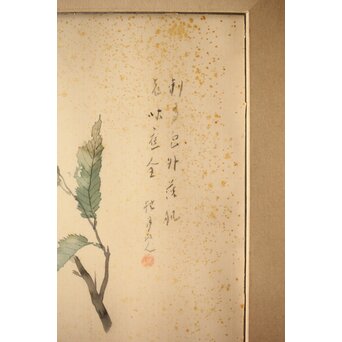 松林桂月「栗」日本画 額装　Z448 