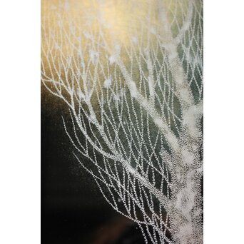 三谷吾一 月 漆額　Q346 