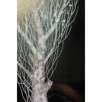 三谷吾一 月 漆額　Q346 