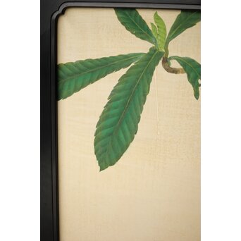 子山羊図 紙本衝立　Z457 