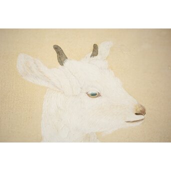 子山羊図 紙本衝立　Z457 