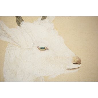 子山羊図 紙本衝立　Z457 