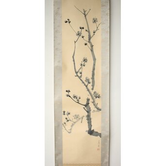 山口蓬春 梅図 紙本掛軸　Z458