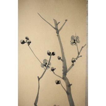 山口蓬春 梅図 紙本掛軸　Z458 