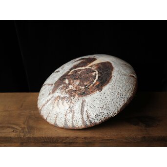 二代  加藤春鼎 鼠志野皿 共箱　P439 