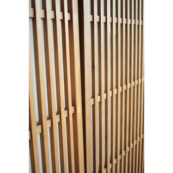 クリアガラス ハイサイズ玄関格子戸 2枚1組　L1114 