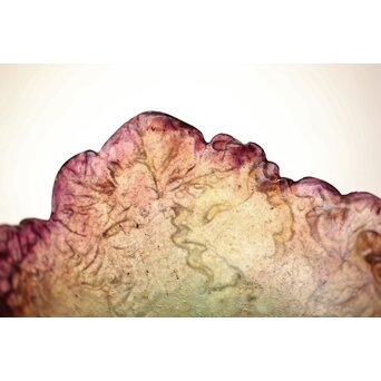 Nancy France 刻 ボウル ガラス工芸 アールヌーヴォ　Y046 