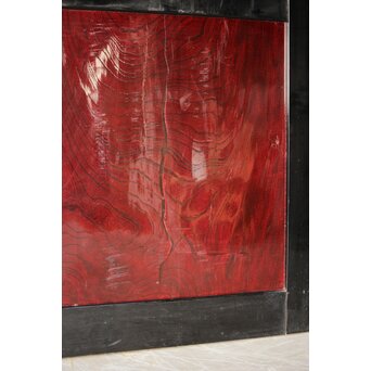 欅一枚板 帯戸 4枚1組　B1060 光沢感は厚めの塗装のため