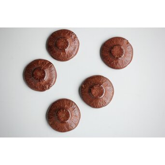 倣 本間琢斎 蓮葉に蛙 茶托 五客　M397 