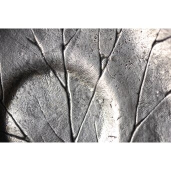 三代 本間琢斎 秋海棠 鋳錫茶托 七客 六代琢斎識箱　M402 