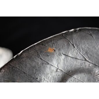 三代 本間琢斎 秋海棠 鋳錫茶托 七客 六代琢斎識箱　M402 