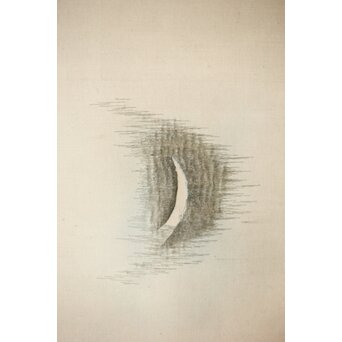 刺繍画 蕉雨賛 軸装　Z477 