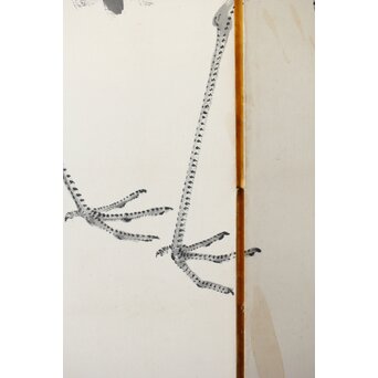 渡辺小崋 群鶴図 紙本屏風一双　Z481 