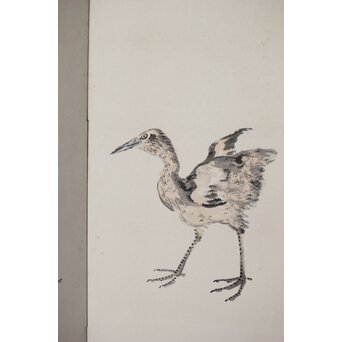 渡辺小崋 群鶴図 紙本屏風一双　Z481 