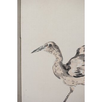 渡辺小崋 群鶴図 紙本屏風一双　Z481 