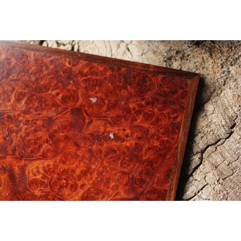 本郷寿山 花梨瘤木 四方小盆栽卓　X449 