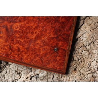 本郷寿山 花梨瘤木 四方小盆栽卓　X449 