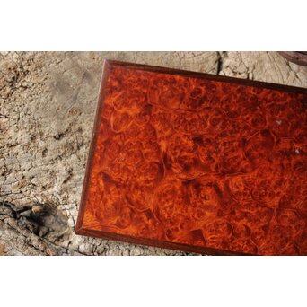 本郷寿山 花梨瘤木 四方小盆栽卓　X449 