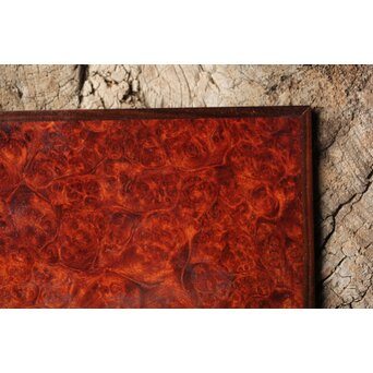 本郷寿山 花梨瘤木 四方小盆栽卓　X449 