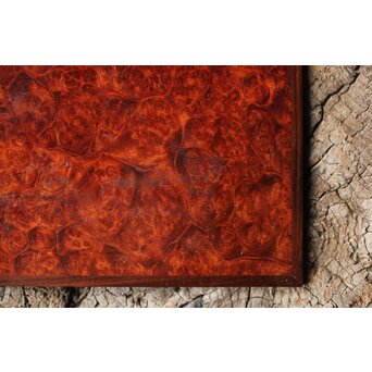 本郷寿山 花梨瘤木 四方小盆栽卓　X449 