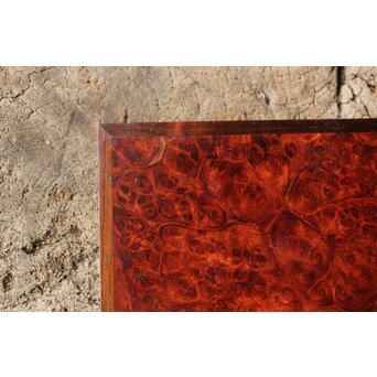 本郷寿山 花梨瘤木 四方小盆栽卓　X449 