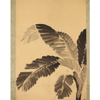 女流作家 跡見玉枝 芭蕉双鶴之図 絹本軸装　Z496 