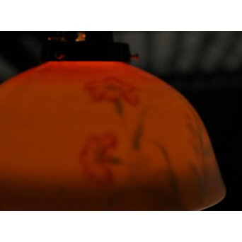 深川製磁 磁器電笠　P469 