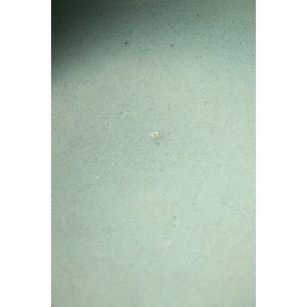 河井寛次郎/鐘渓窯 【青瓷蓮辨鉢/青磁蓮弁鉢】河井紅葩識箱付　P474 